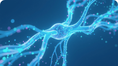 经络可视化算法